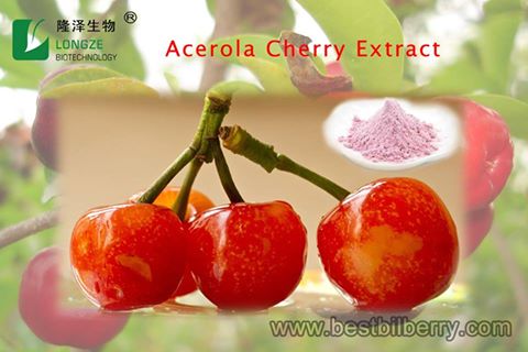 Prášek s extraktem z třešně Acerola