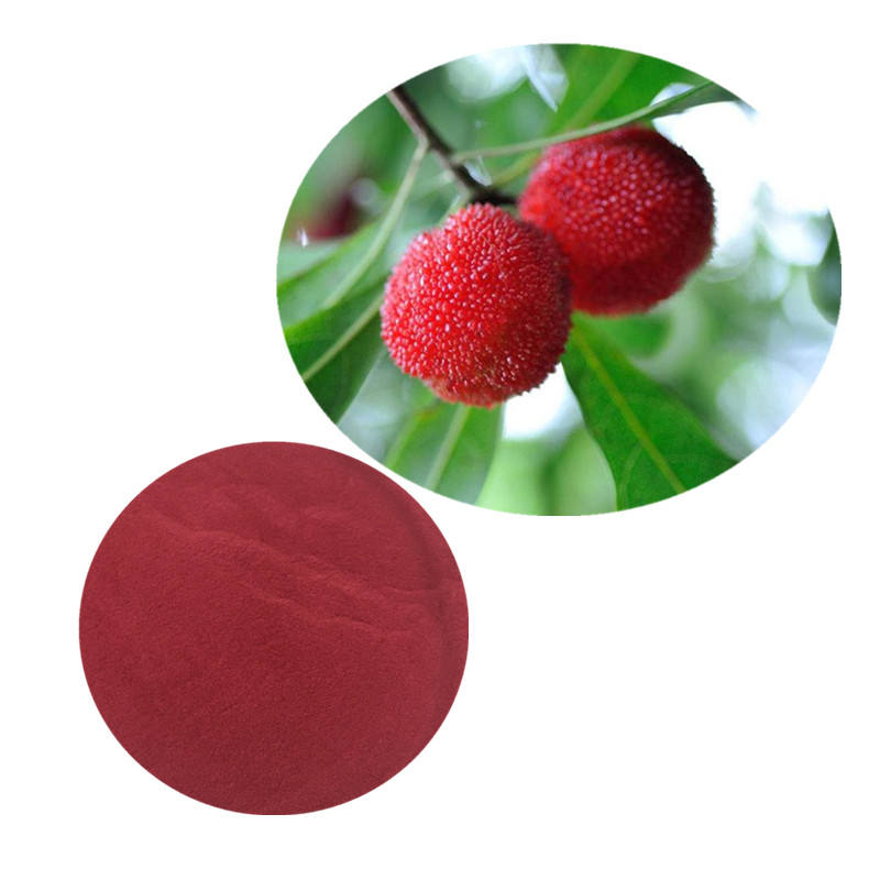 Myrica Rubra Extract Powder Waxberry Extract Powder Red Bayberry Extract Powder