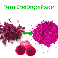 100% čistota mrazem sušený prášek z červeného draka Pitaya Fruit Powder