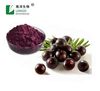 Acai Berry Extract Práškový rostlinný extrakt z byliny Euterpe oleracea M