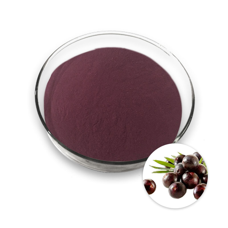 Acai Berry Extract Práškový rostlinný extrakt z byliny Euterpe oleracea M